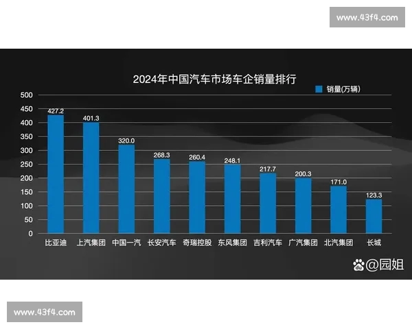 2026年全球体育排名揭晓 各大项目榜单新变化与亮点分析