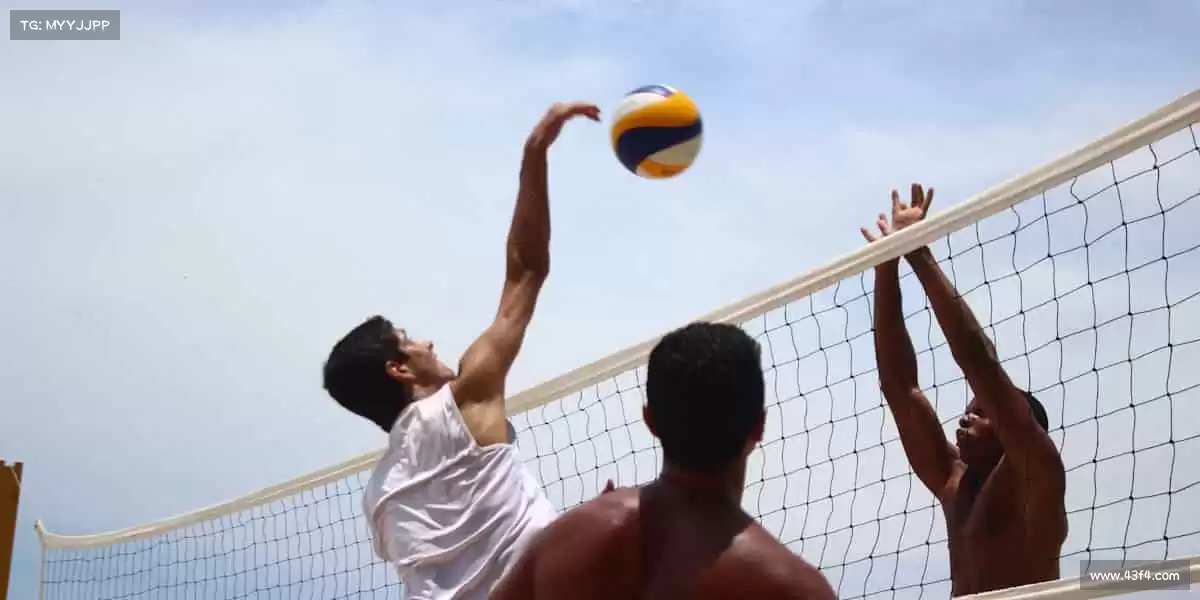 为什么选择我们